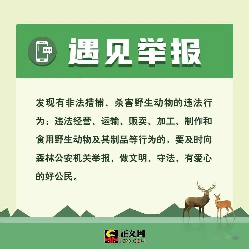 最新野生動物保護法規(guī)與小巷深處的綠色秘境探秘，保護行動與獨特小店的獨特故事