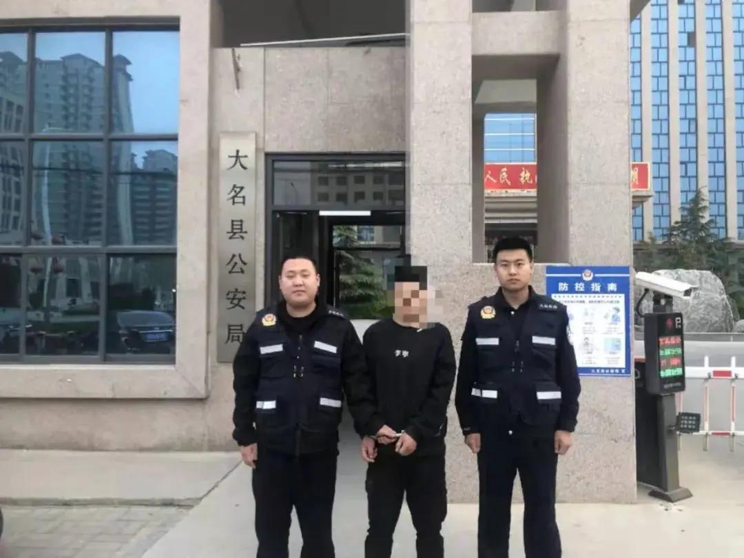 大名出租房屋最新動態(tài)，全面指南與最新消息