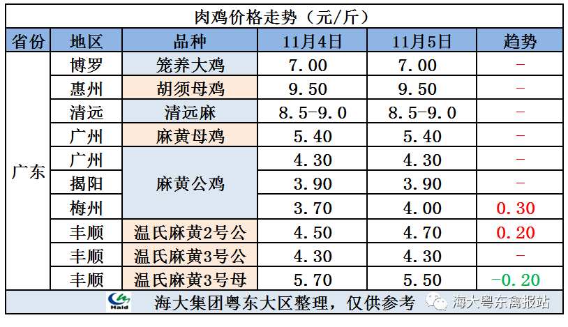 廣東雞價(jià)最新行情，心靈與自然的旅行交響曲