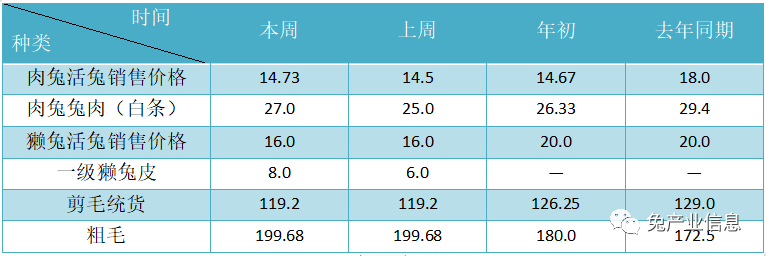 獺兔價(jià)格最新行情揭秘，溫情故事在兔子洞展開(kāi)