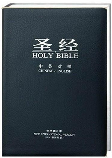 圣經(jīng)最新版本，科技與信仰的交融之作